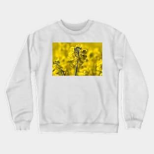 Very Yellow Crewneck Sweatshirt